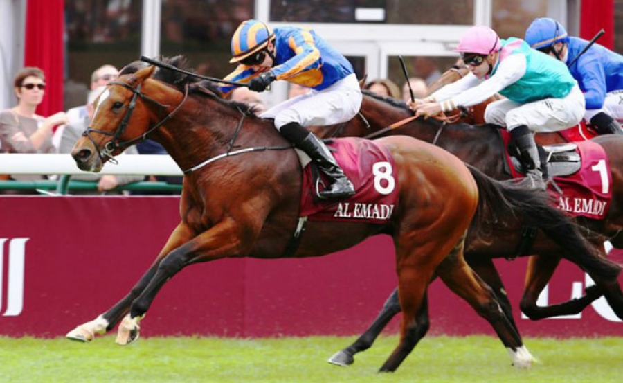 Al Emadi Sponsor Qatar Prix Jean-Luc Lagardère
